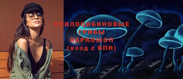 ALPHA-PVP Вяземский