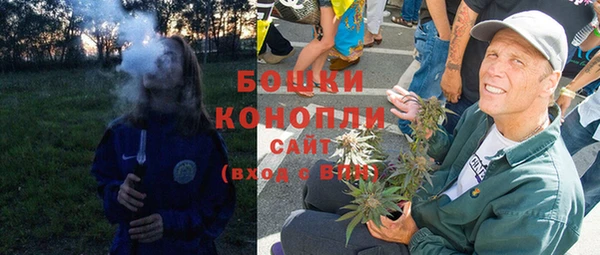 ПСИЛОЦИБИНОВЫЕ ГРИБЫ Вязьма