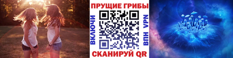 Галлюциногенные грибы GOLDEN TEACHER  мориарти наркотические препараты  Дедовск 