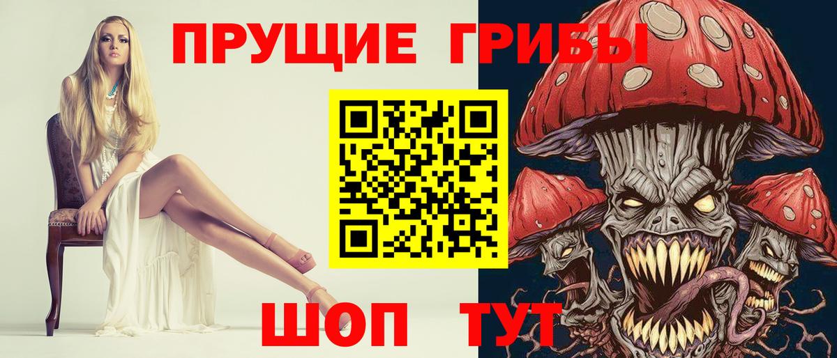Псилоцибиновые грибы Psilocybe Дедовск
