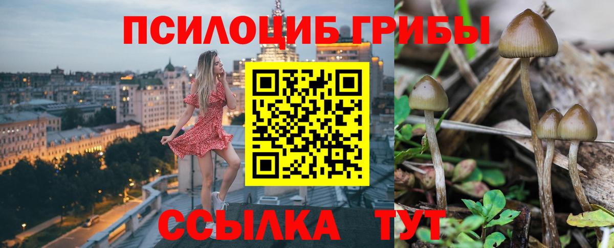 Дедовск  где купить наркоту  Вход с VPN  Псилоцибиновые грибы ЛСД 